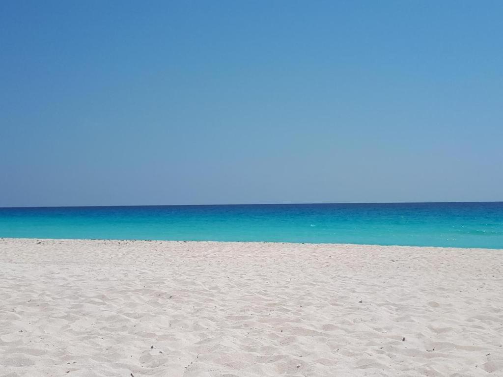 Departamentos Al Lado Del Mar En Zona Hotelera كانكون المظهر الخارجي الصورة